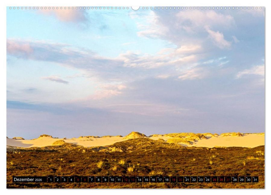 InsideView 4