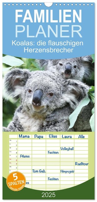 Familienplaner 2025 - Koalas: die flauschigen Herzensbrecher mit 5 Spalten (Wandkalender, 21 x 45 cm) CALVENDO - Calvendo Calvendo