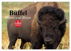 Büffel. Wisent und Bison (Wandkalender 2025 DIN A2 quer), CALVENDO Monatskalender - Elisabeth Stanzer