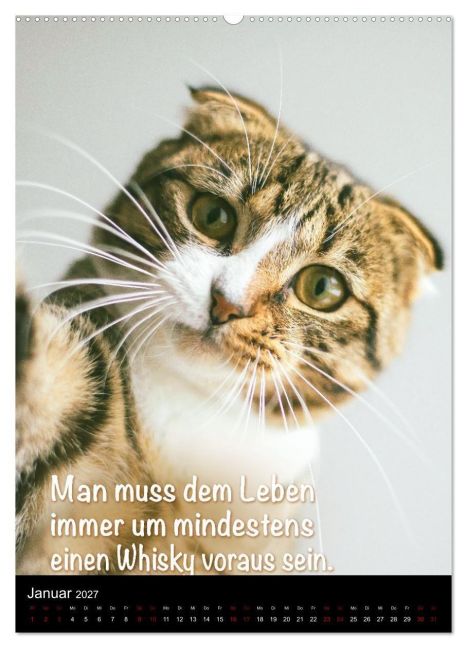 InsideView 5