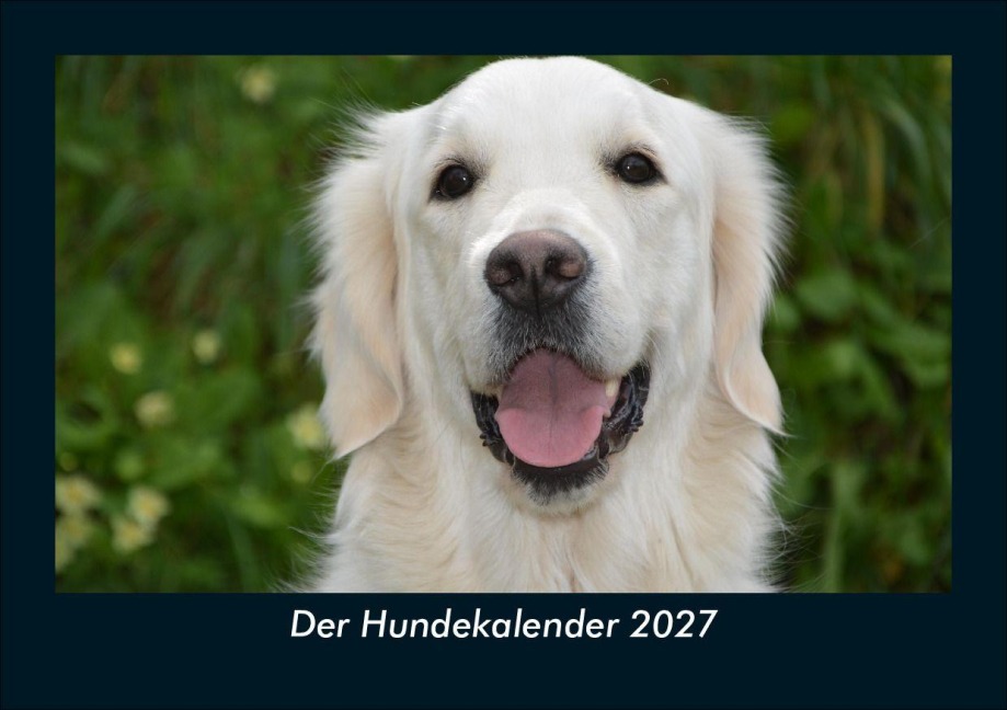 Der Hundekalender 2027 Fotokalender DIN A5 - Tobias Schmitt, Kevin Heber