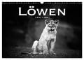 Löwen schwarz weiß (Wandkalender 2024 DIN A3 quer), CALVENDO Monatskalender - Robert Styppa
