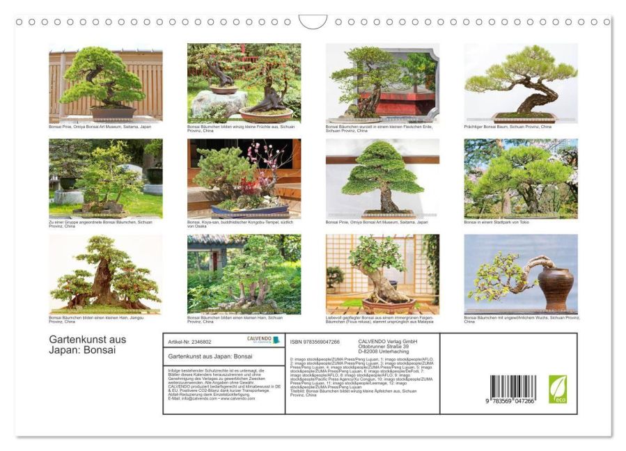 InsideView 5