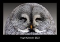 Vogel Kalender 2023 Fotokalender DIN A3 - Tobias Becker