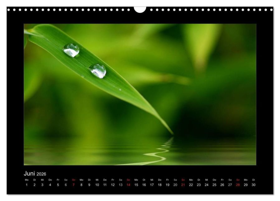 InsideView 11