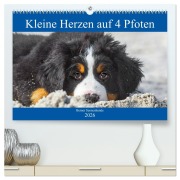 Cover-Bild zum Titel 'Kleine Herzen auf 4 Pfoten - Berner Sennenhunde (hochwertiger Premium Wandkalender 2026 DIN A2 quer), Kunstdruck in Hochglanz' von 'Sigrid Starick'