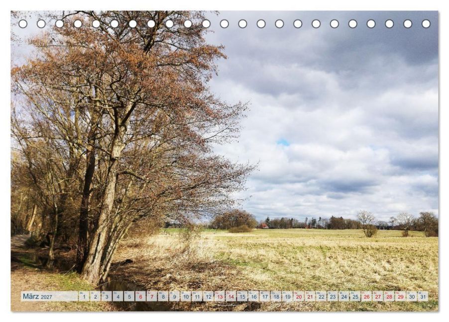 InsideView 8