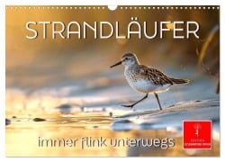 Cover-Bild zum Titel 'Strandläufer - immer flink unterwegs (Wandkalender 2026 DIN A3 quer), CALVENDO Monatskalender' von 'Peter Roder'