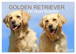 Cover-Bild zum Titel 'Golden Retriever ein treuer Begleiter (Wandkalender 2026 DIN A2 quer), CALVENDO Monatskalender' von 'SchnelleWelten SchnelleWelten'