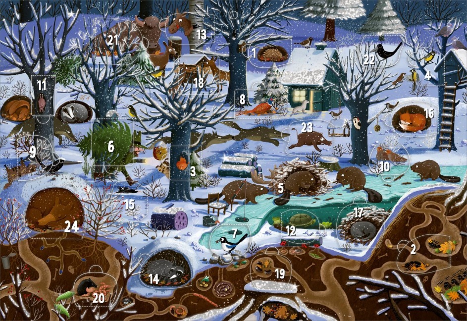 Adventskalender - Winter im Wald | Wandkalender - 