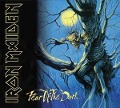 Cover-Bild zum Titel 'Fear Of The Dark (2015 Remaster)' von 'Iron Maiden'