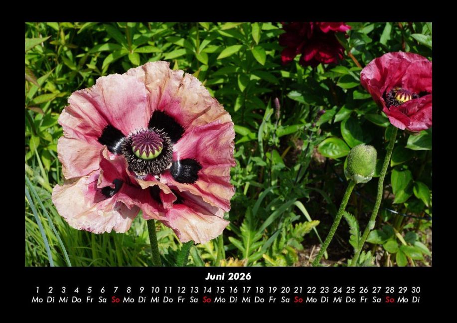 InsideView 10