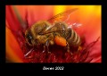 Bienen 2022 Fotokalender DIN A3 - Tobias Becker