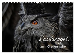 Cover-Bild zum Titel 'Raubvögel zum Greifen nahe (Wandkalender 2026 DIN A3 quer), CALVENDO Monatskalender' von 'Michael Milfeit'