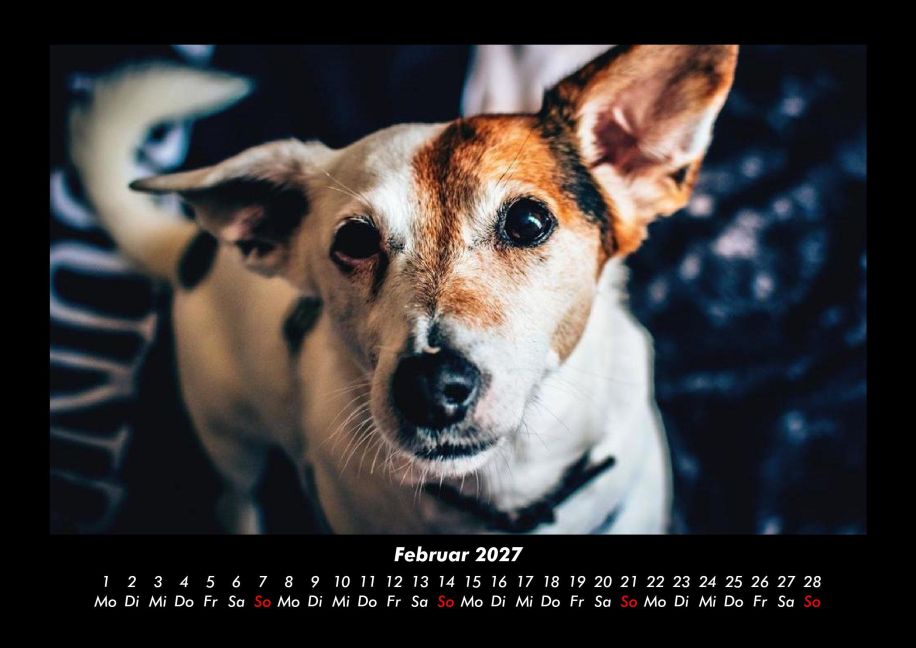 InsideView 6
