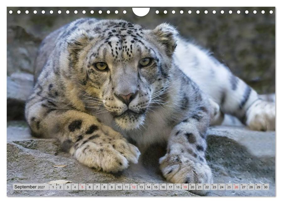 InsideView 14