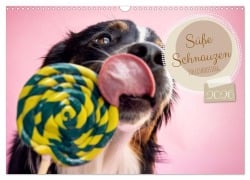 Cover-Bild zum Titel 'Süße Schnauzen (Wandkalender 2026 DIN A3 quer), CALVENDO Monatskalender' von 'Annabell Gsödl'
