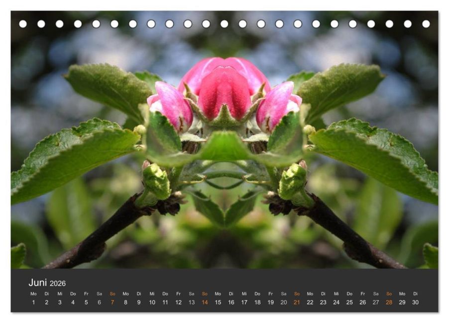 InsideView 11
