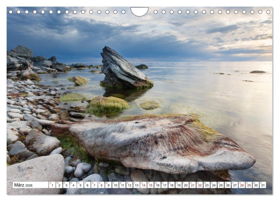 InsideView 8