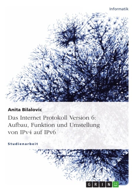 IPv6 - Aufbau, Funktion und Umstellung von IPv4 auf IPv6 - Anita Bilalovic