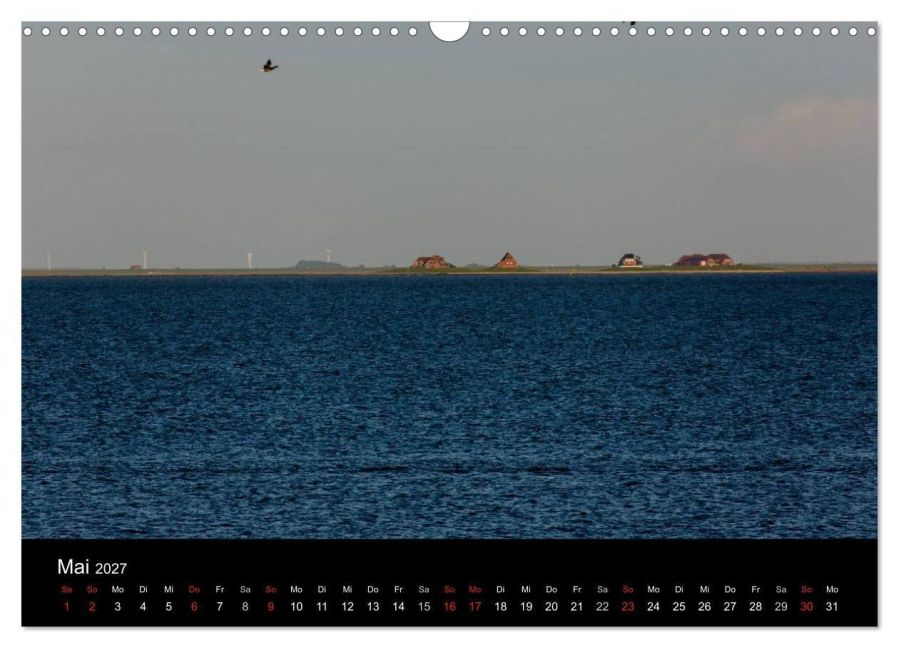 InsideView 10