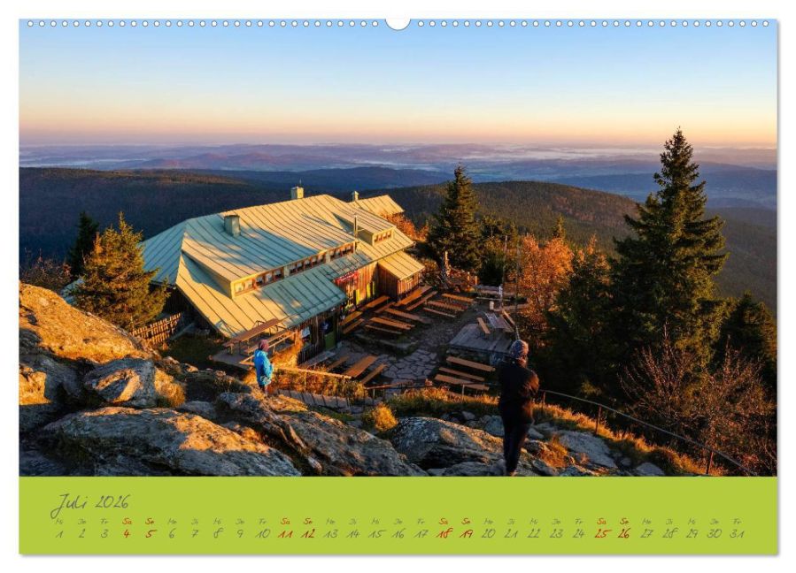 InsideView 11