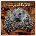 Hedgehogs - Igel 2025 - 16-Monatskalender - The Gifted