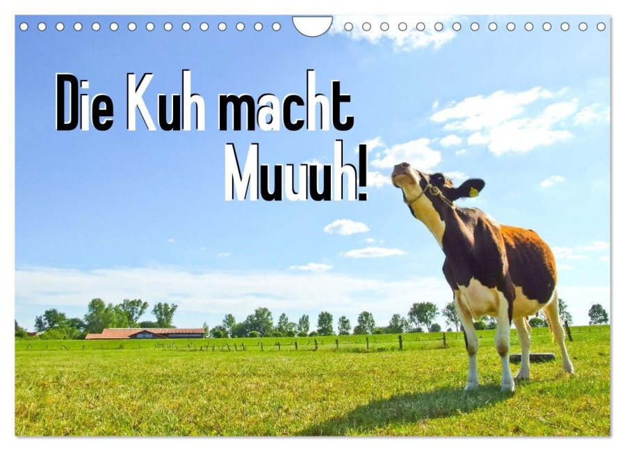 Die Kuh macht Muuuh! (Wandkalender 2027 DIN A4 quer), CALVENDO Monatskalender - Carola Vahldiek