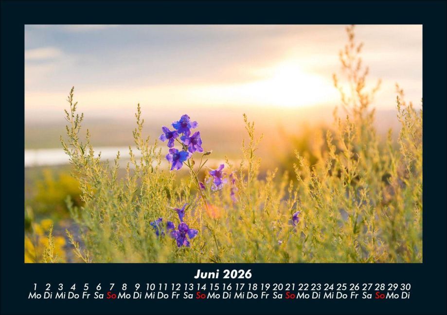 InsideView 10