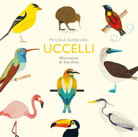 Piccola guida agli uccelli - Alison Davies