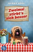 Cover-Bild zum Titel 'Zweimal stirbt's sich besser | Ein humorvoller Augsburg-Krimi' von 'Ulrike Vögl'