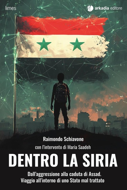 Dentro la Siria. Dall'aggressione alla caduta di Assad. Viaggio all'interno di uno Stato mal trattato - Raimondo Schiavone