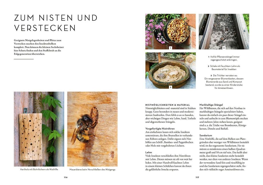 InsideView 5