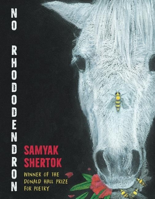 No Rhododendron - Samyak Shertok