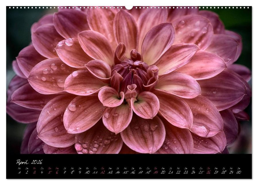 InsideView 8