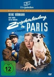Zwischenlandung in Paris - Paul Andréota, Curt Riess, Jacques Companéez, Joseph Than, Paul Misraki