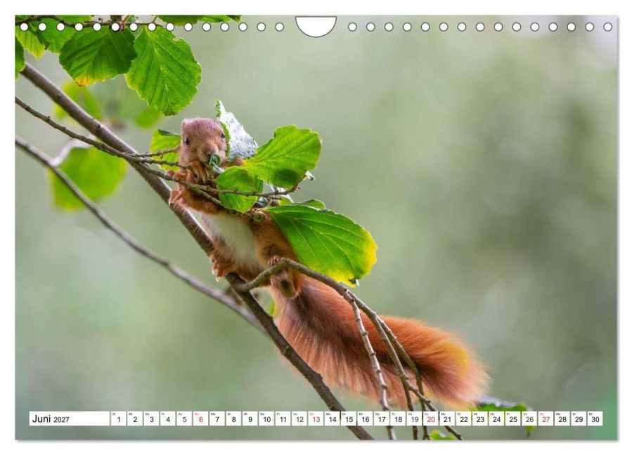InsideView 11
