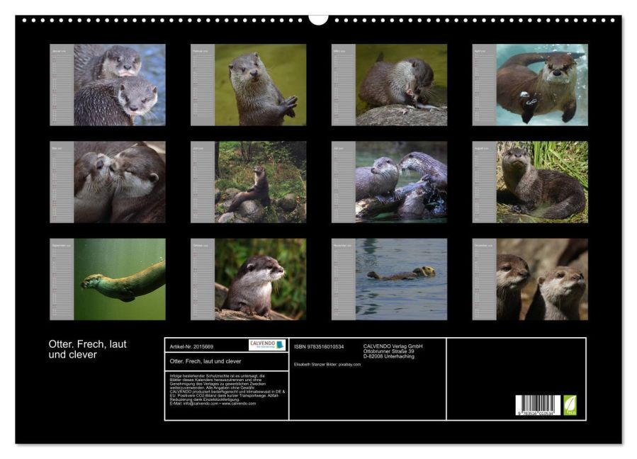 InsideView 5