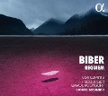 Cover-Bild zum Titel 'Requiem' von 'Meunier/Vox Luminis/Freiburger Barockconsort'