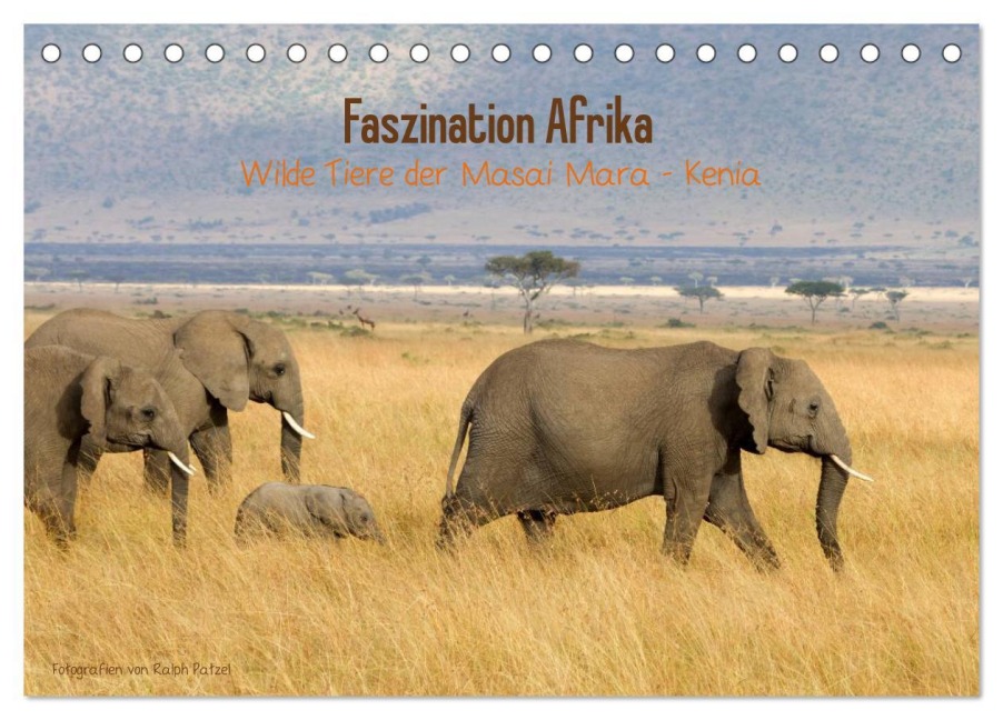 Faszination Afrika - wilde Tiere der Masai Mara - Kenia (Tischkalender 2026 DIN A5 quer), CALVENDO Monatskalender - Ralph Patzel