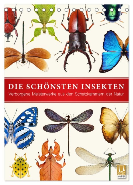 Die schönsten Insekten (Tischkalender 2025 DIN A5 hoch), CALVENDO Monatskalender - Wildlife Art Print