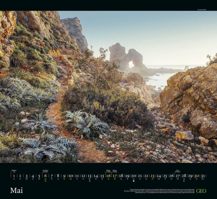 InsideView 3