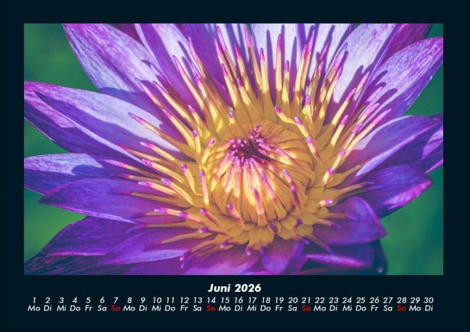 InsideView 10