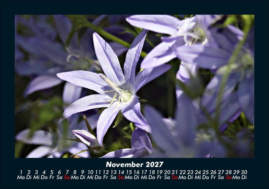 InsideView 3