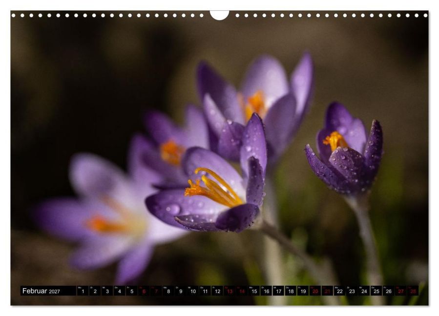 InsideView 7