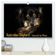 Cover-Bild zum Titel 'Australian Shepherd - Traum auf vier Pfoten (hochwertiger Premium Wandkalender 2026 DIN A2 quer), Kunstdruck in Hochglanz' von 'Andrea Mayer Tierfotografie'