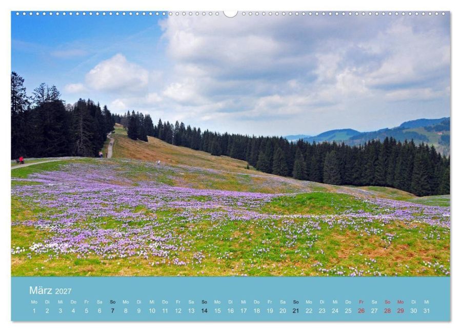 InsideView 7