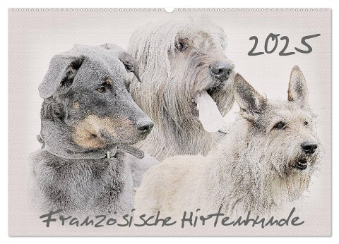 Französische Hirtenhunde 2025 (Wandkalender 2025 DIN A2 quer), CALVENDO Monatskalender - Andrea Redecker