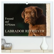 Cover-Bild zum Titel 'Freund auf 4 Pfoten - Labrador Retriever (hochwertiger Premium Wandkalender 2026 DIN A2 quer), Kunstdruck in Hochglanz' von 'Sigrid Starick'