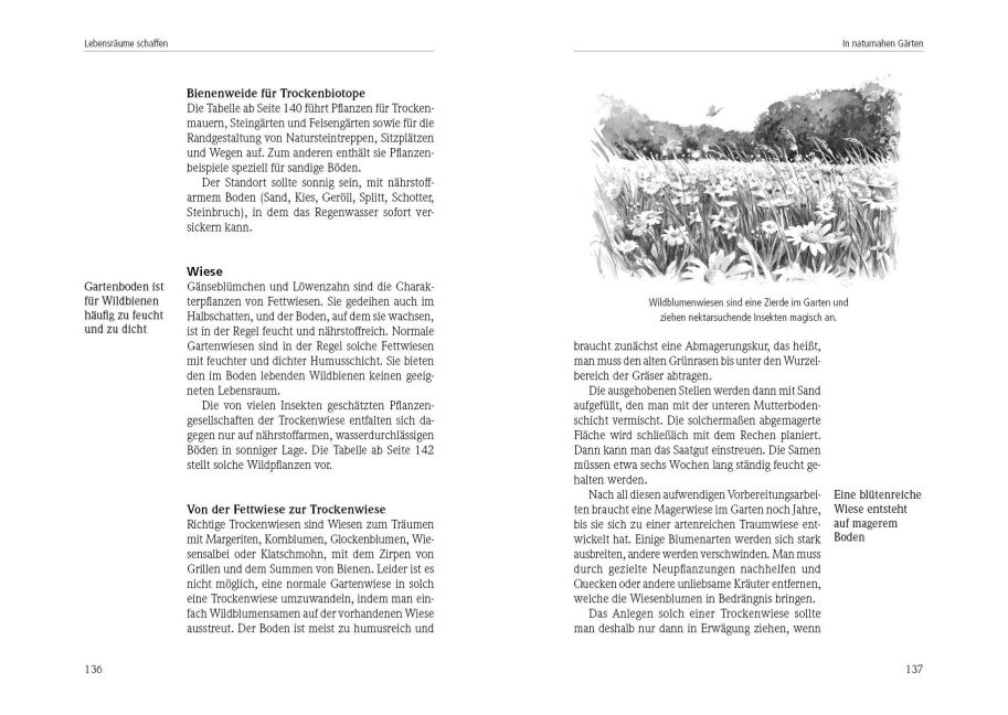 InsideView 4